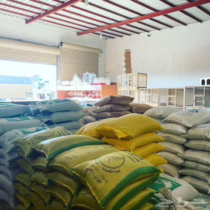 العامريه لطيور واسماك الزينه 30