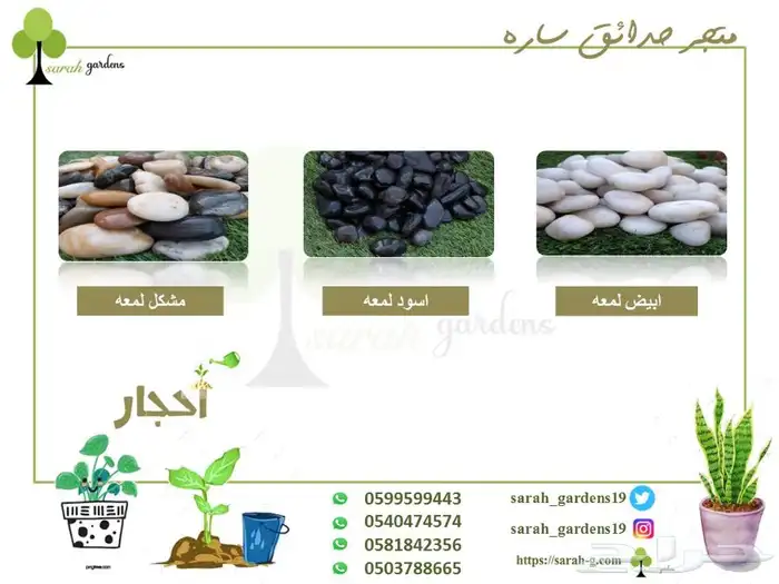 احواض مراكن معاويل بذور حدايق 52