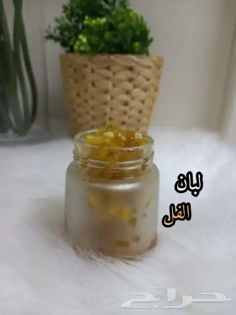 بخور لبان ومستكه مسقى بسعر الجمله 1