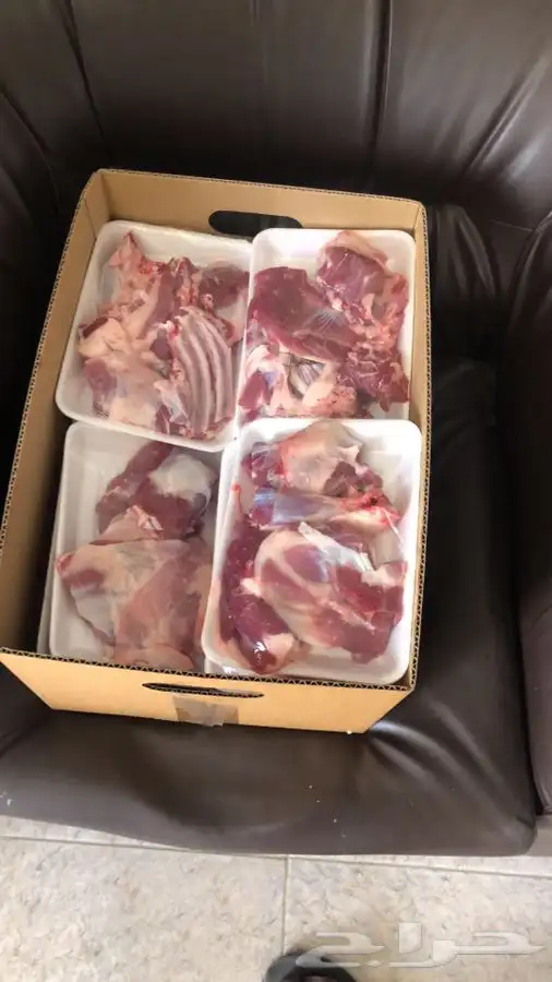 ذبايح حرية طيبة ونضيفة   جبر وسط 12