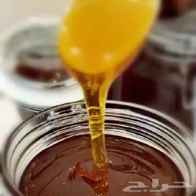 عسل السدر والطلح 3