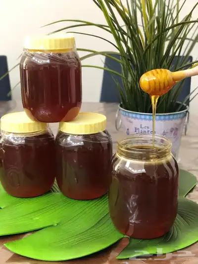 عسل السدر والطلح 0