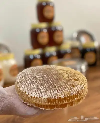 عسل السدر والطلح 2