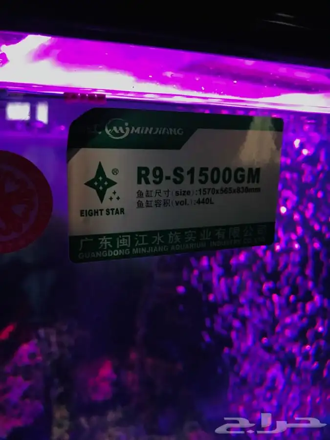 حوض سمك 4