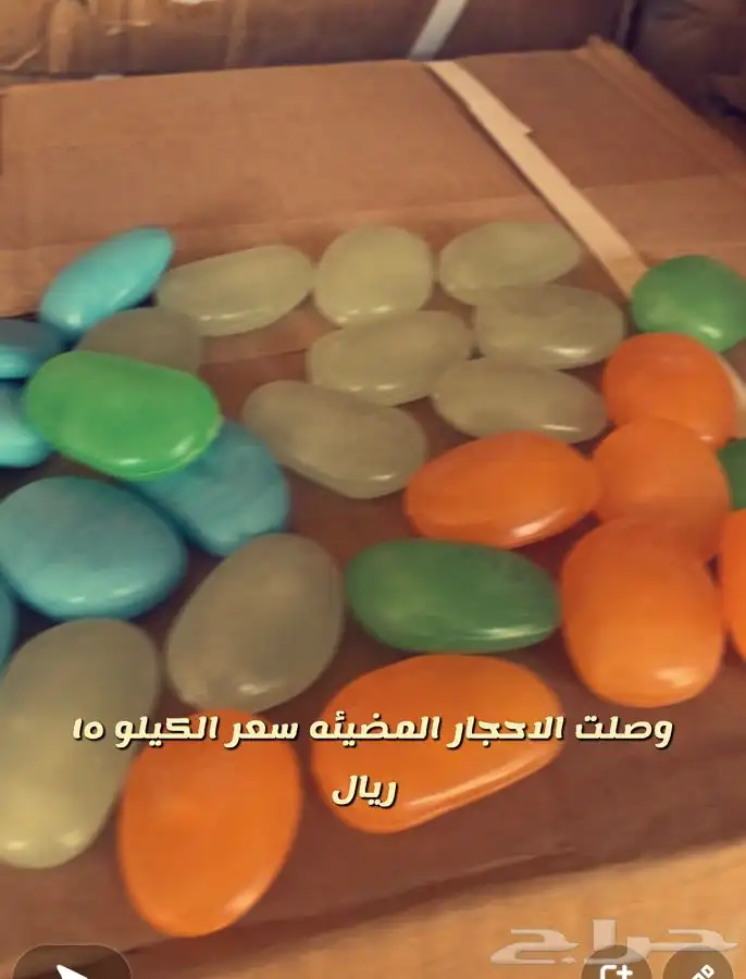 شتلات واشجار مصاد رياح وزينه 5