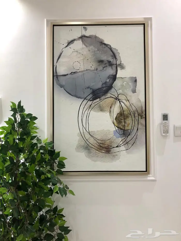 لوحات جدارية فاخره 24