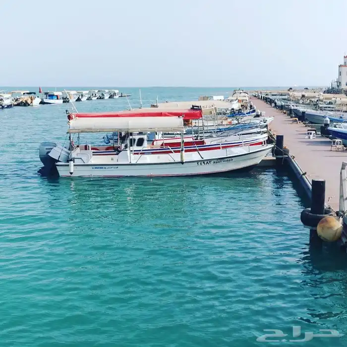 رحلات بحريه الرايس 4