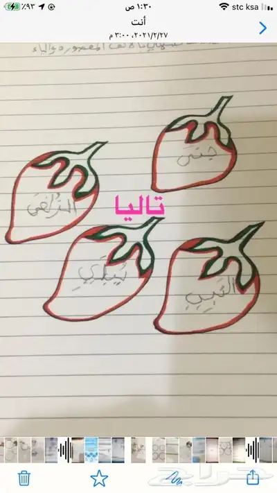 اعمال مدرسيه للطلاب والطالبات واعمال مجسمات 38