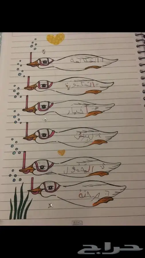 اعمال مدرسيه للطلاب والطالبات واعمال مجسمات 21