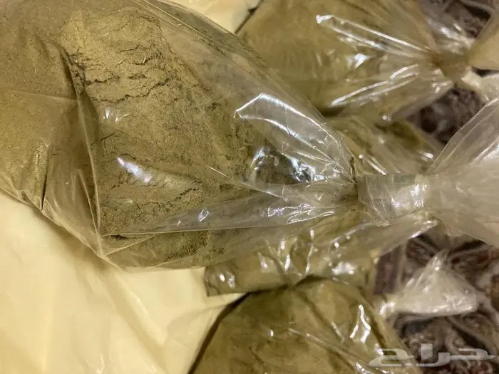 حنا المدينة درجة اولى 1