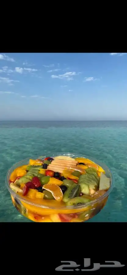 رحلات بحريه الرايس 6