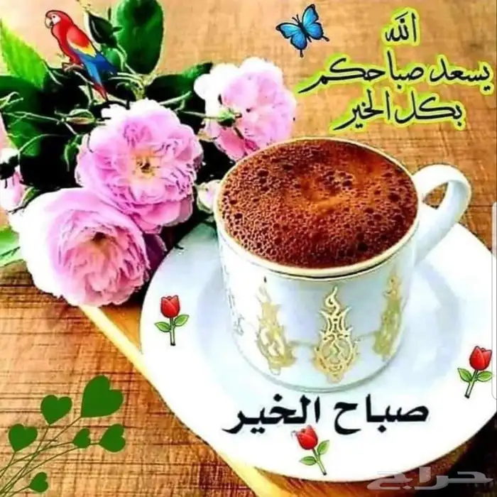 تبوك - رر              ر                   10
