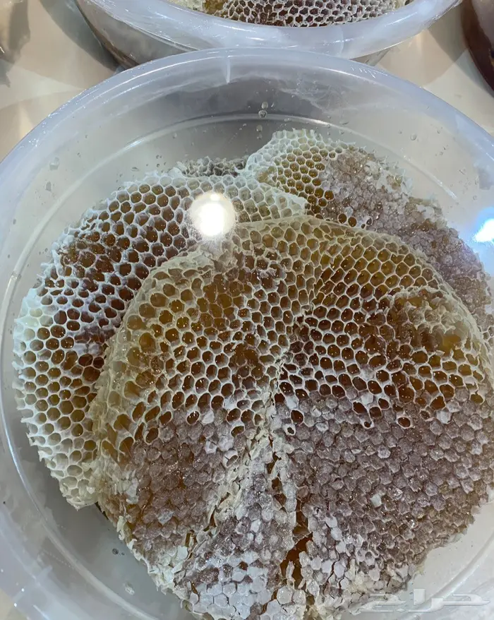 عسل السدره الجبلي وعسل سمروعسل الخاص الملكي 20