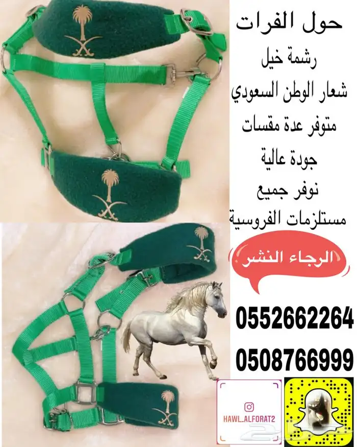 اجلال خيال و رشمة شعار المملكة اليوم الوطني 7