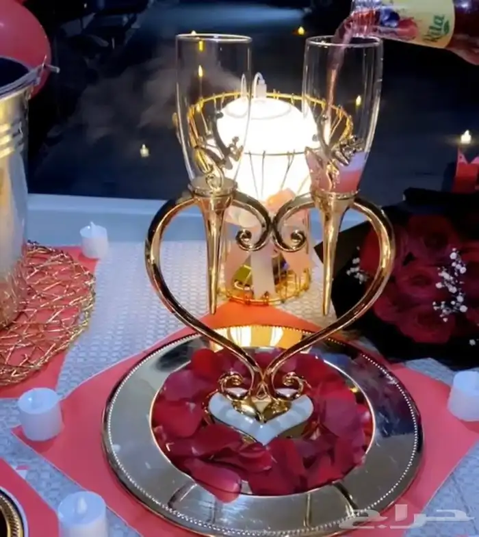 حفلات بحرية VIP 9