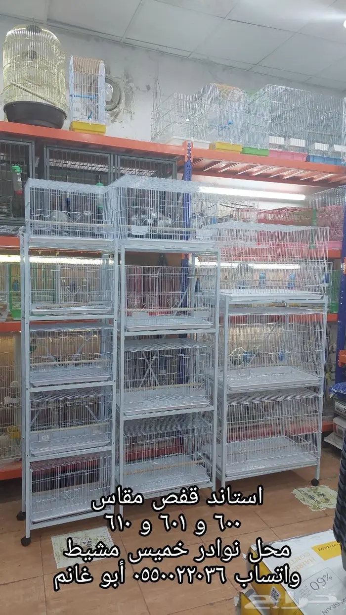 طيور زينة ومستلزماتها محل نوادر خميس مشيط 20