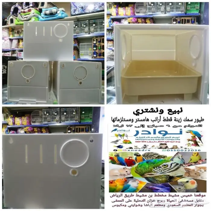 طيور زينة ومستلزماتها محل نوادر خميس مشيط 2