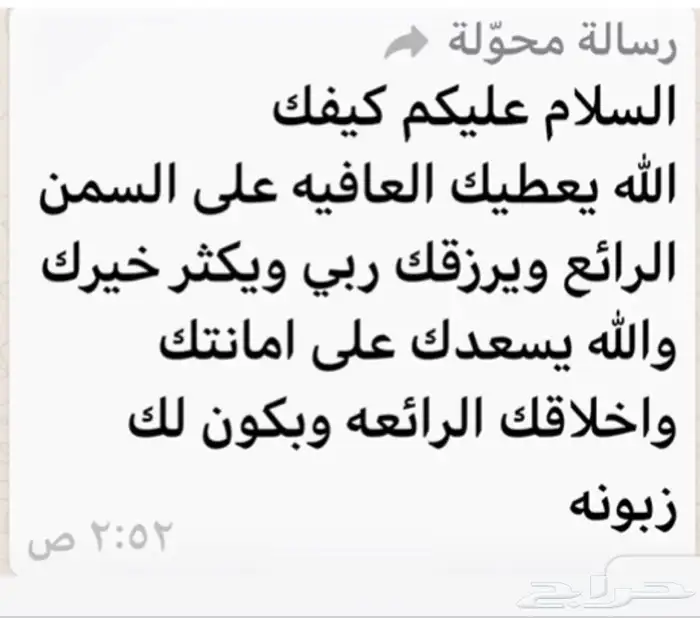 سمن بقر بلدي مضمون وعلي الشرط 18