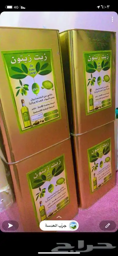 زيت زيتون بكر ممتاز 5
