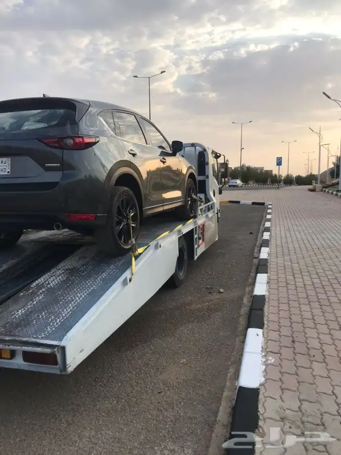 سطحه القصيم الرياض 0