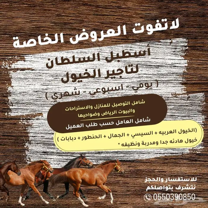 خيول وجمال وسيسي للإيجار  4