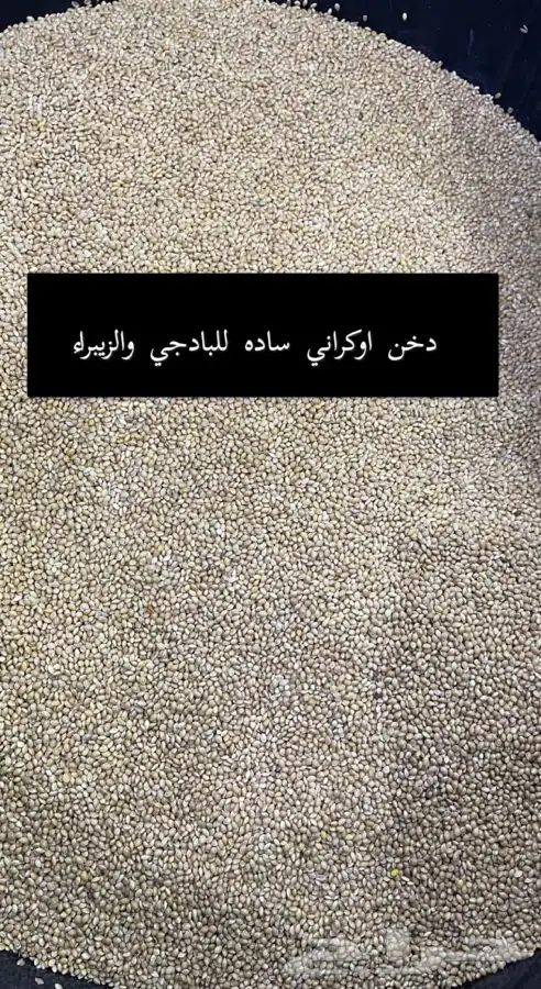 اعلاف ومستلزمات واقفاص الكروان والروز والبادجي 9
