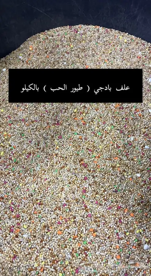 اعلاف ومستلزمات واقفاص الكروان والروز والبادجي 8