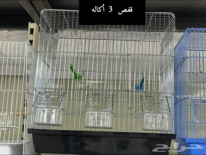 اعلاف ومستلزمات واقفاص الكروان والروز والبادجي 16