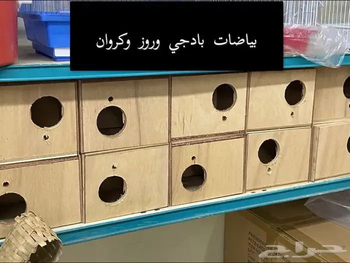 اعلاف ومستلزمات واقفاص الكروان والروز والبادجي 10