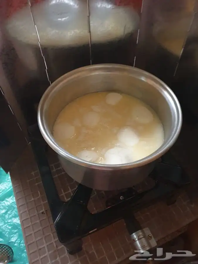 سمن بقر 14