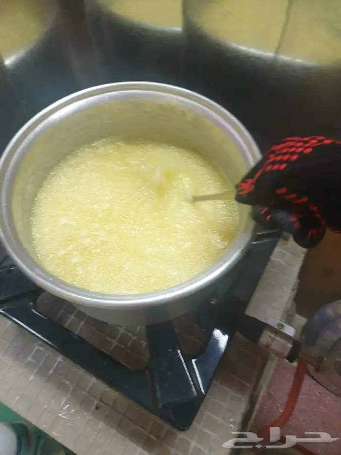 سمن بقر 17