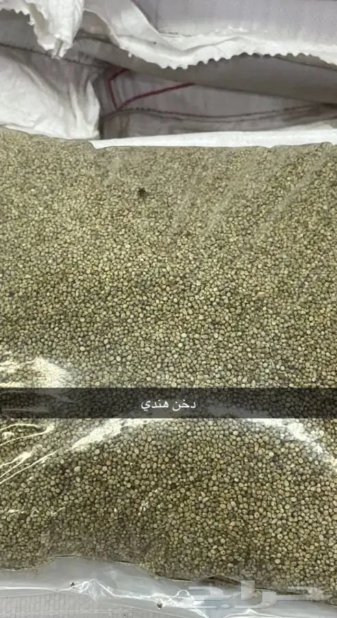اعلاف دجاج وحمام وقماري وارانب وهمستر ومستلزمات طيور 5