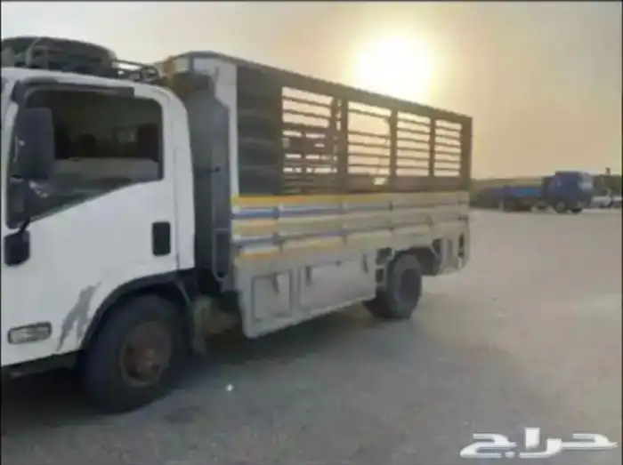 دينا للتحميل داخل وخارج النعيرية بأسعار مناسبة 0