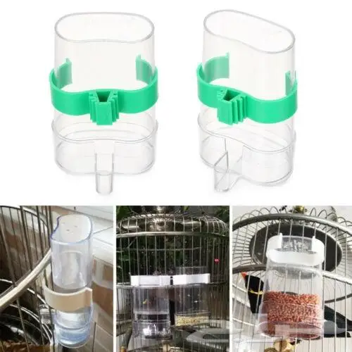 طيور زينة ومستلزماتها محل نوادر خميس مشيط 10