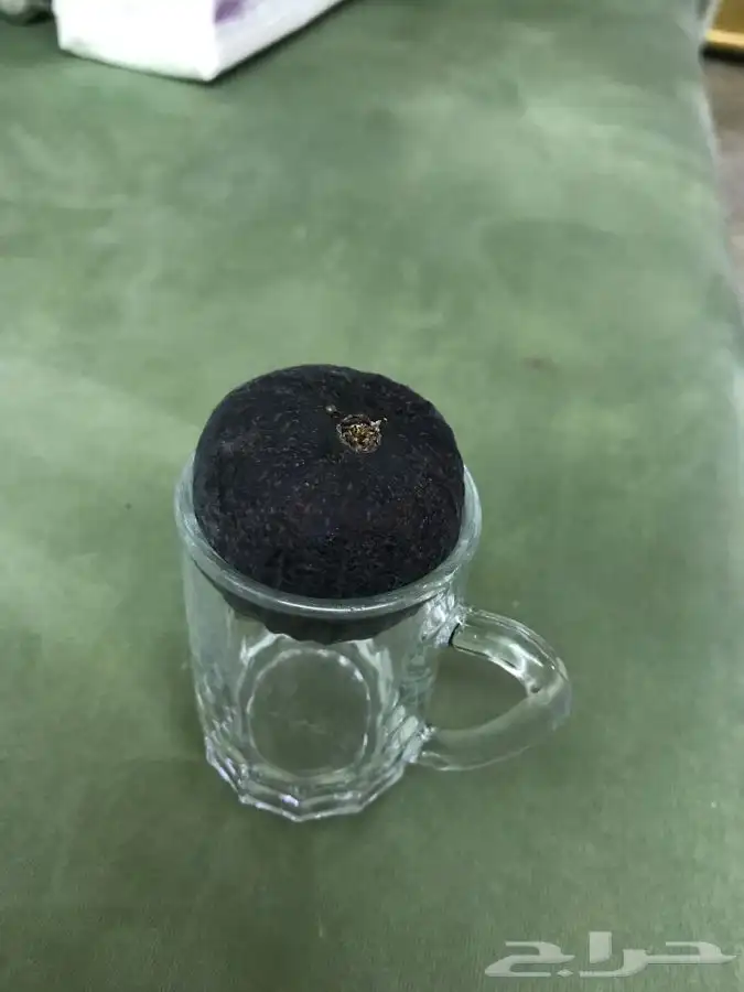 شتلات بلدي منتجه 2