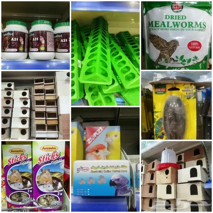 طيور زينة ومستلزماتها محل نوادر خميس مشيط 9