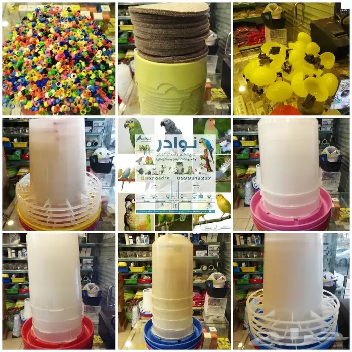 طيور زينة ومستلزماتها محل نوادر خميس مشيط 14