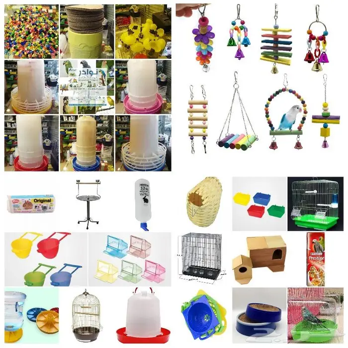 طيور زينة ومستلزماتها محل نوادر خميس مشيط 15