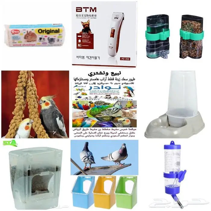 طيور زينة ومستلزماتها محل نوادر خميس مشيط 16