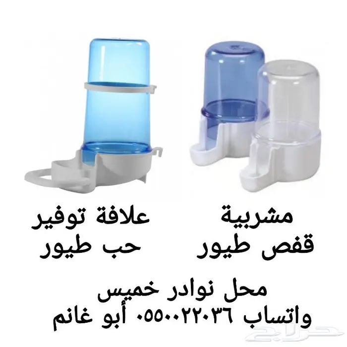 طيور زينة ومستلزماتها محل نوادر خميس مشيط 22
