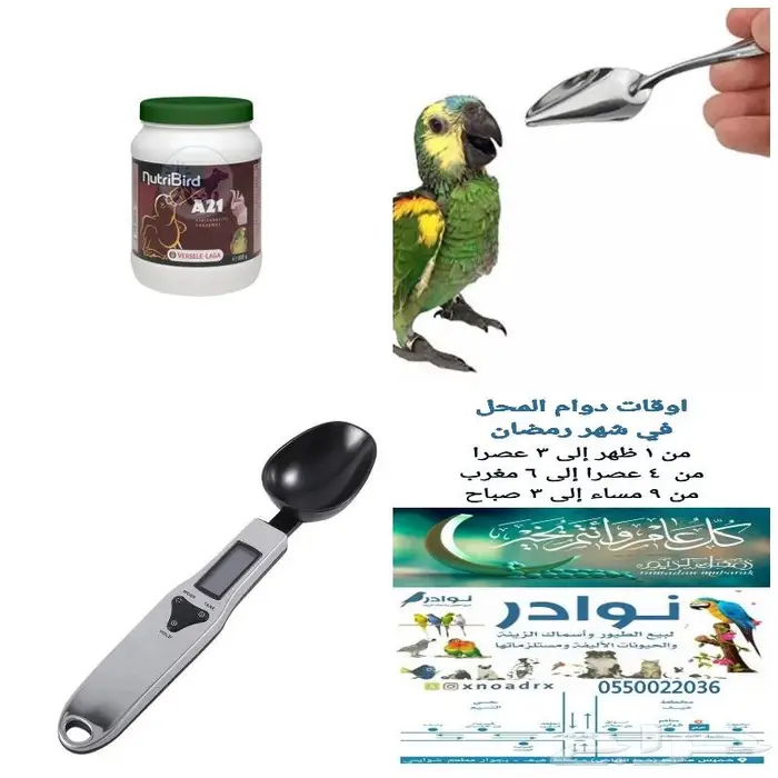 طيور زينة ومستلزماتها محل نوادر خميس مشيط 8