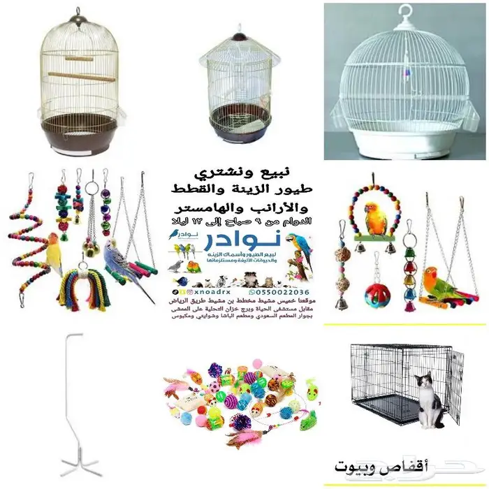 طيور زينة ومستلزماتها محل نوادر خميس مشيط 24