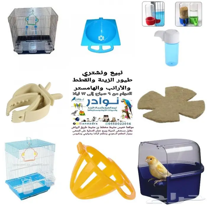 طيور زينة ومستلزماتها محل نوادر خميس مشيط 25