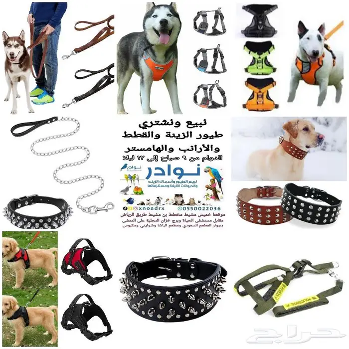 اكل قطط وفيتامينات ورمل والعاب قطط 1