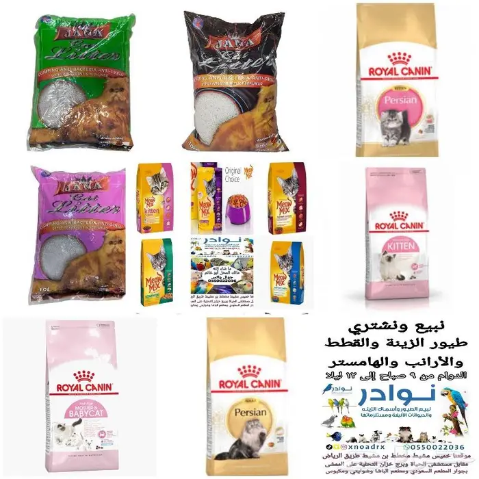 اكل قطط وفيتامينات ورمل والعاب قطط 7