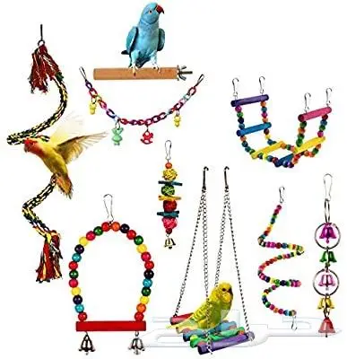 طيور دره كرواون بادجي روز زيبرا محل نوادر لبيع الطيور 20