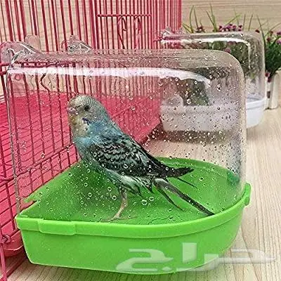 جديد طيور زينة ومستلزماتها نوادر 15