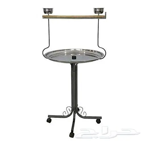 طيور دره كرواون بادجي روز زيبرا محل نوادر لبيع الطيور 7