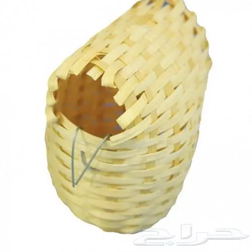 طيور دره كرواون بادجي روز زيبرا محل نوادر لبيع الطيور 16