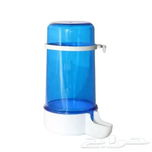 طيور دره كرواون بادجي روز زيبرا محل نوادر لبيع الطيور 17